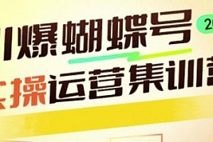 引爆蝴蝶号实操运营,开启流量变现之路