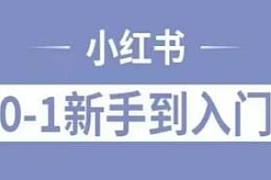 小红书电商实操课,讲解小红书人群属性,0基础小白轻松上手