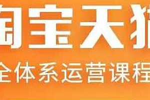 淘宝天猫全体系运营课程,动销玩法、付费玩法等