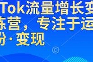 TikTok流量增长变现训练营,专注于运营、涨粉、变现