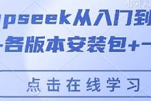 Deepseek从入门到精通附最全指令汇总+各版本安装包+一键整合包