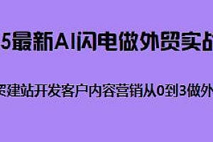 AI闪电做外贸训练营 更新25年4月