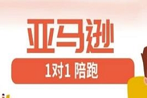 亚马逊1对1陪跑课 亚马逊教程