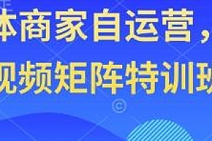 AI短视频矩阵特训班,实体商家自运营