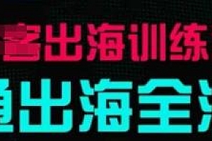 出海训练营基础课,实战案例拆解