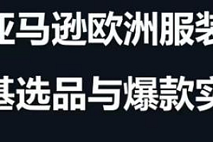 跨境电商选品案例24-25年,助力卖家挖掘蓝海市场