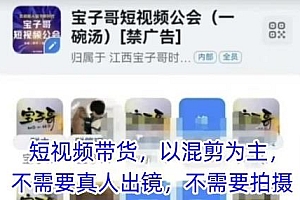 宝子哥头部团队短视频带货课,不需要拍摄不需要出镜