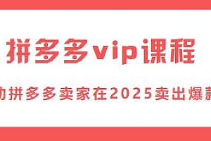 拼多多vip课程,助拼多多卖家在2025卖出爆款