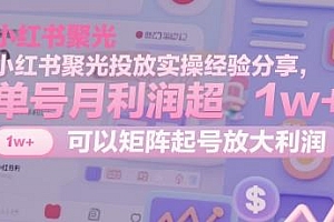 小红书聚光投放实操经验分享,单号月利润超1w+