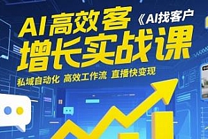 AI高效获客增长实战课 AI找客户自动化高效