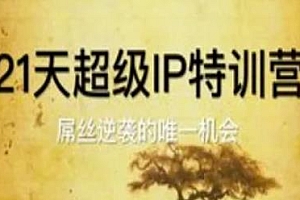 21天超级IP特训营教程,屌丝逆袭的唯一机会
