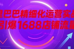 阿里巴巴精细化运营实战课