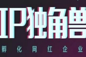 IP独角兽,ip教程,孵化网红企业