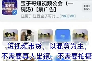 宝子哥头部团队短视频带货教程