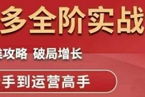 拼多多全阶实战课程,从新手到运营高手