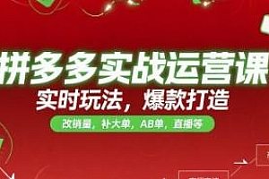 拼多多实战运营课,爆款打造,实时玩法