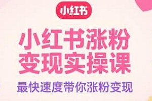 小红书涨粉变现实操课,带你涨粉变现