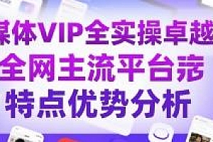 自媒体VIP全实操卓越班,全网主流平台分析