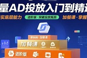 巨量AD投放入门到精通,基础版+进阶版+加餐课 巨量千川课程