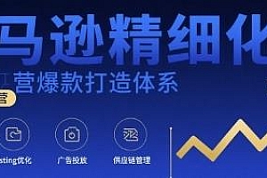 亚马逊精细化运营爆款打造体系课