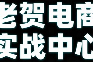 老贺电商2025年拼多多付费课程