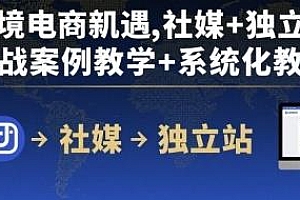 跨境电商新机遇 社媒+独立站系统化教学