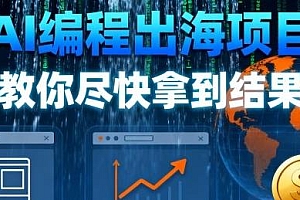 AI编程出海项目,做出网站、拿到流量、賺到钱