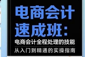 电商会计速成班,电商会计全程处理的技能实操指南